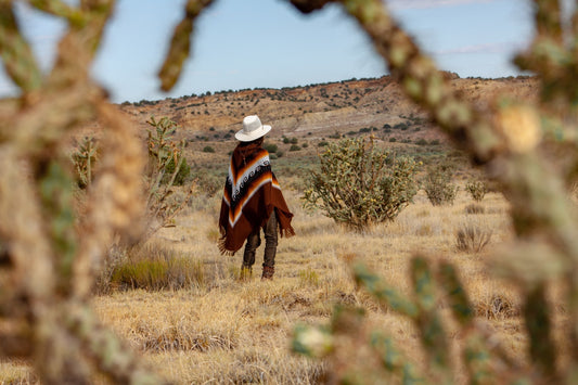 Ponchos: Let’s Discuss!